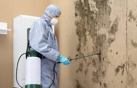 Best Commercial Mold Inspection  in South Laurel, MD